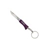 Couteau porte-clés Opinel numéro 2 violet