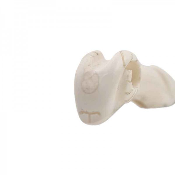 Couteau Larzac Raïole Custom | ivoire de phacochère sculpté | lame inox 12C27