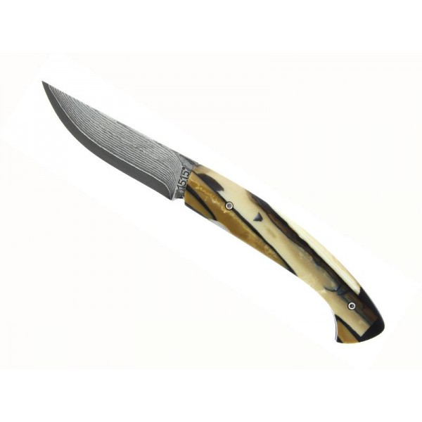 Couteau Damas 1515 ivoire de mammouth stabilisé inox VG10 manche12 cm